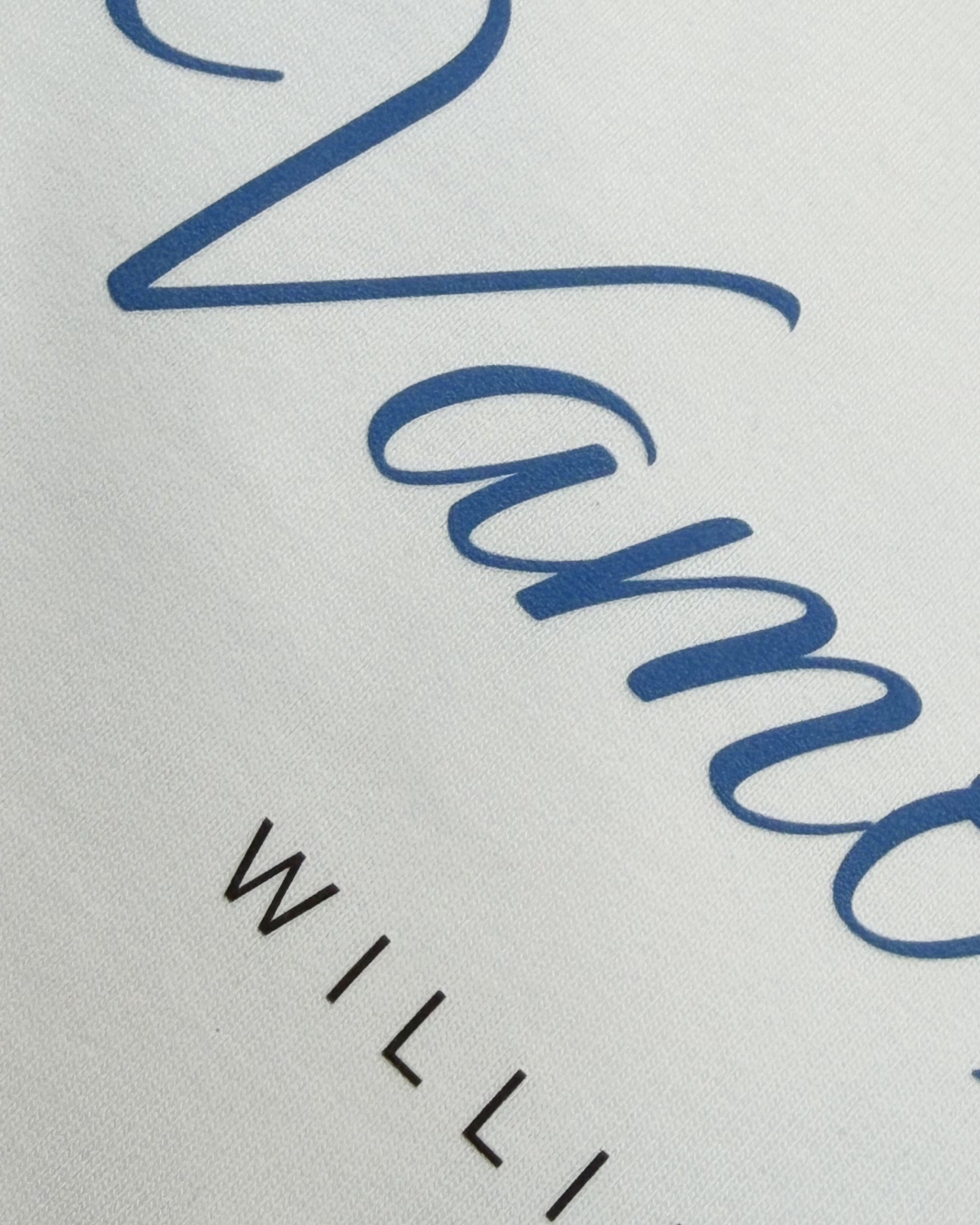 Close up of F1 Turn1 India Off White oversized unisex tshirt - fan graphic of Carlos Sainz Smooth Operator, Williams F1 racing team driver and featuring his Car Number 55.