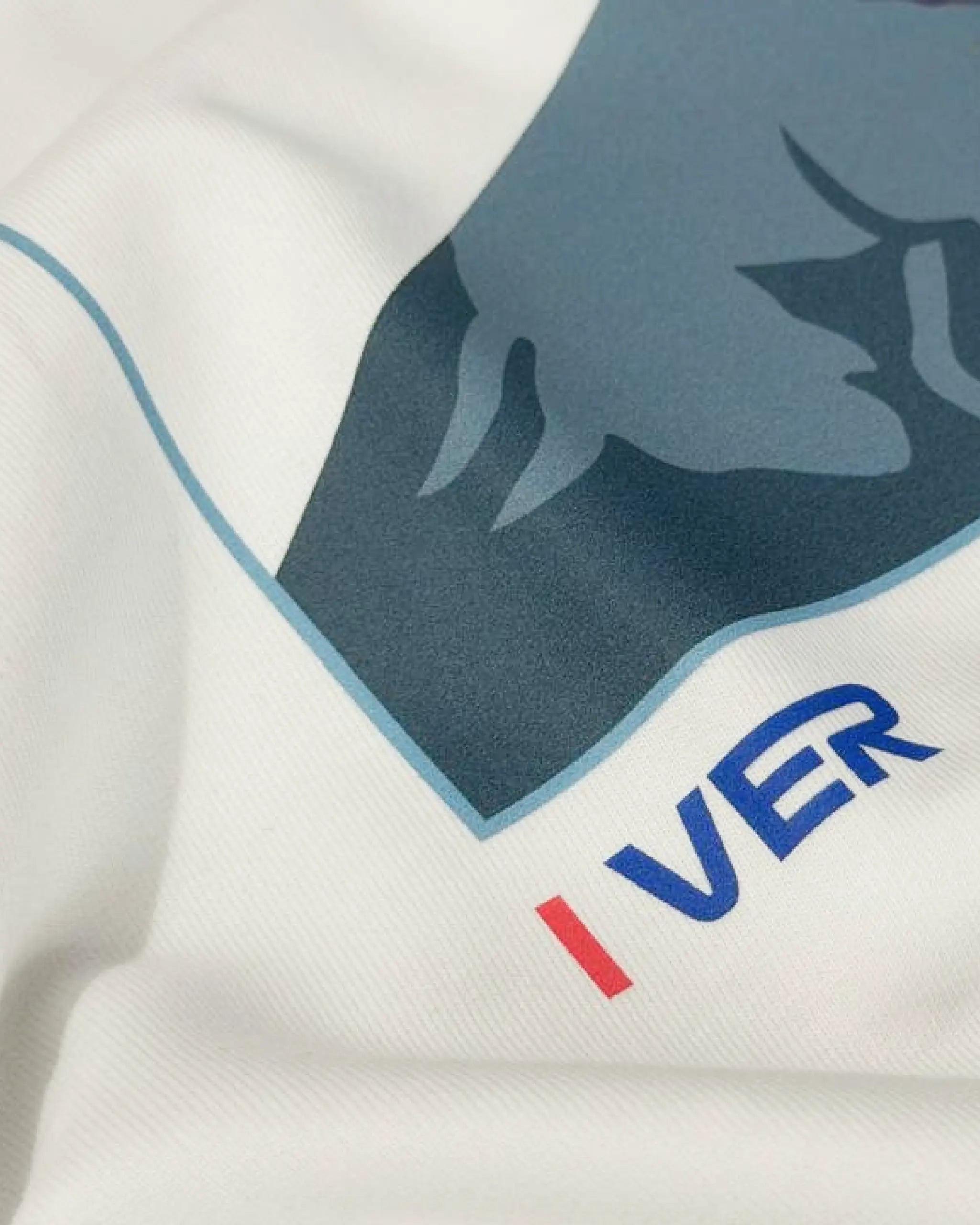 Close-up Image of Fabric and Print - Max Verstappen Attitude Don't Give a Sh*t F1 Unisex Oversized T-shirt Off-White Front View | Turn1 India