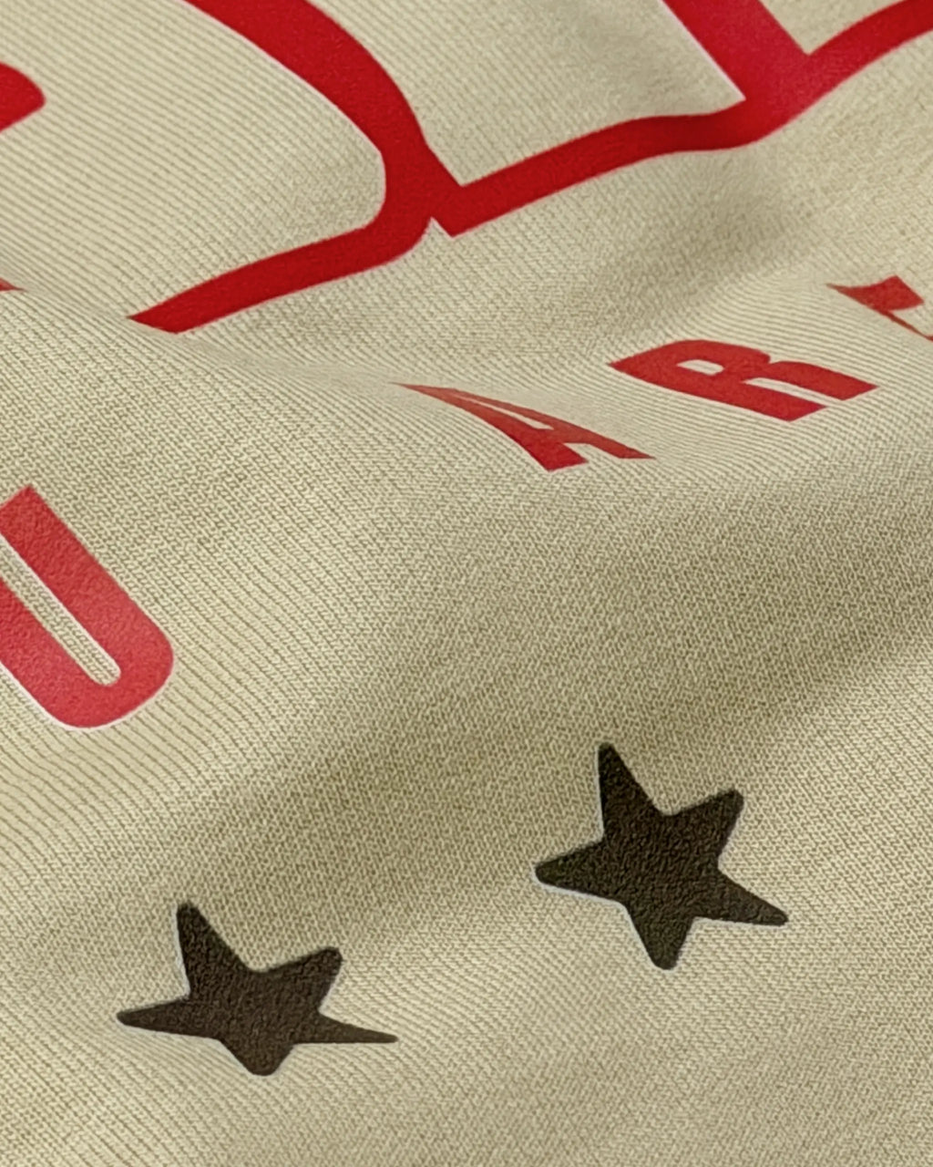 Close-up of Fabric and Print - Motivational Quote F1 Unisex Oversized T-shirt Beige | Turn1 India