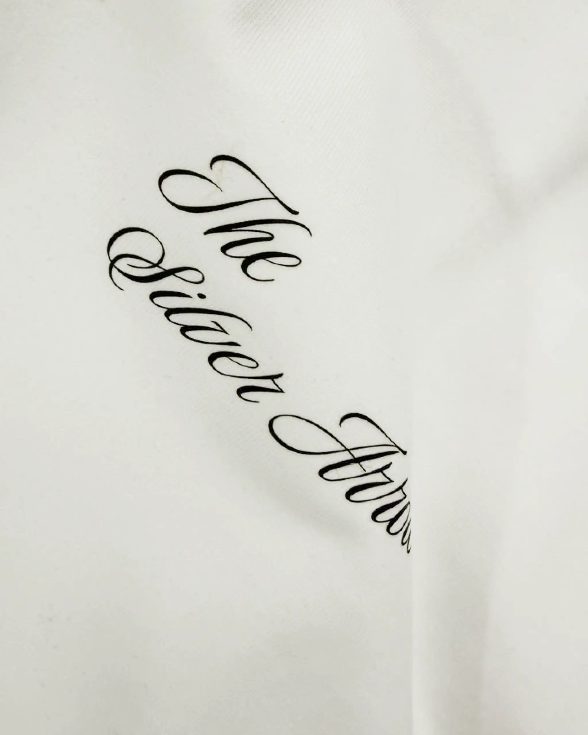 Close-up of Fabric and Print - Kimi Antonelli F1 Unisex Oversized T-shirt Off-White | Turn1 India