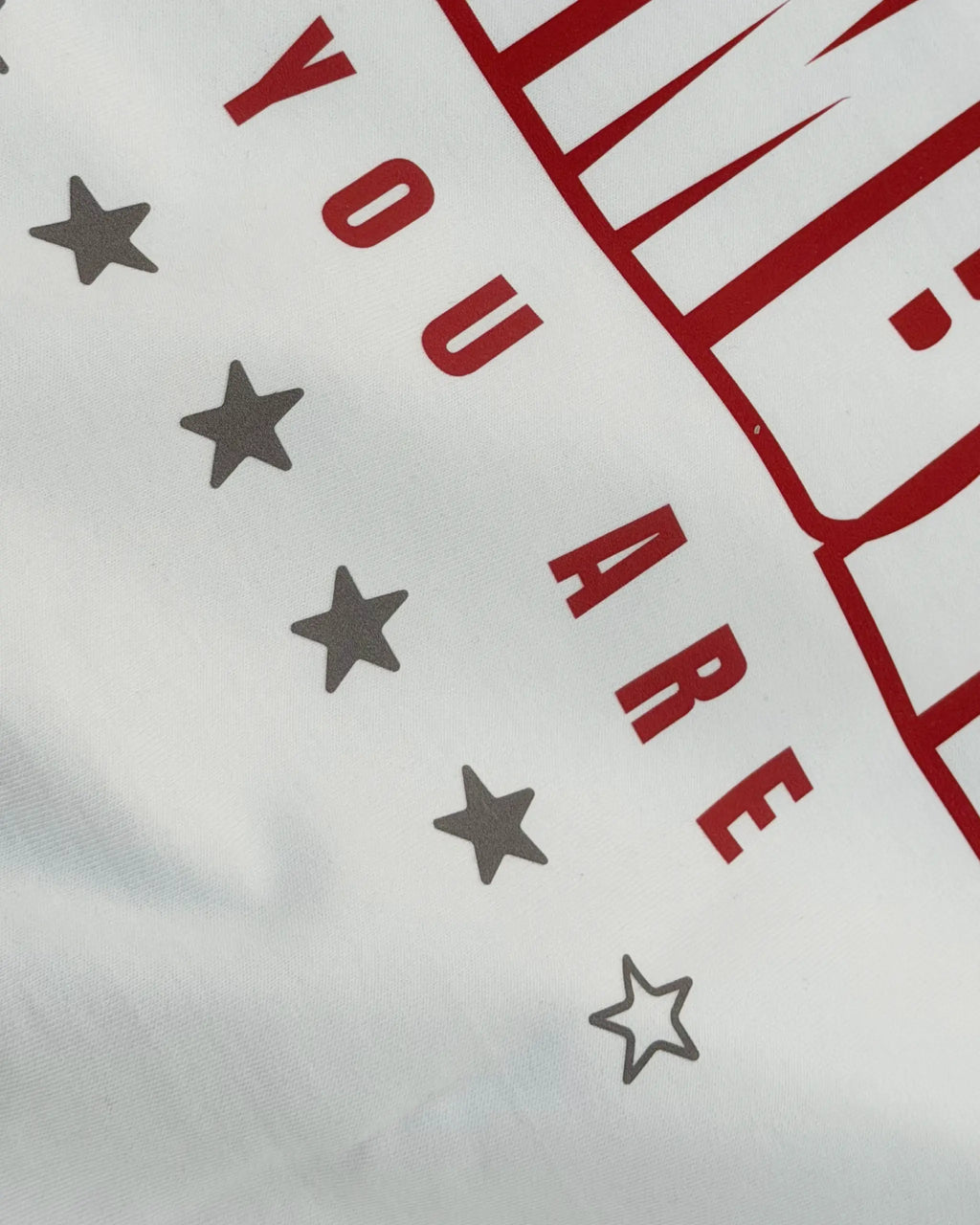 Closeup view of Lewis Hamilton Remember Who You Are Quote F1 Unisex Oversized T-shirt Off-White | Turn1 India