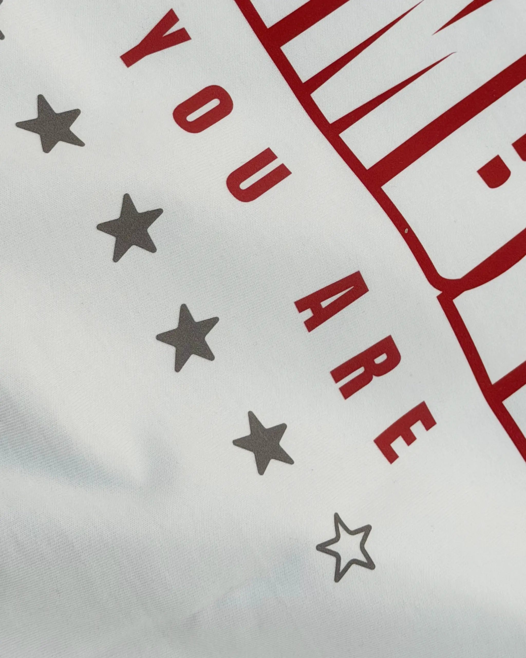Closeup view of Lewis Hamilton Remember Who You Are Quote F1 Unisex Oversized T-shirt Off-White | Turn1 India