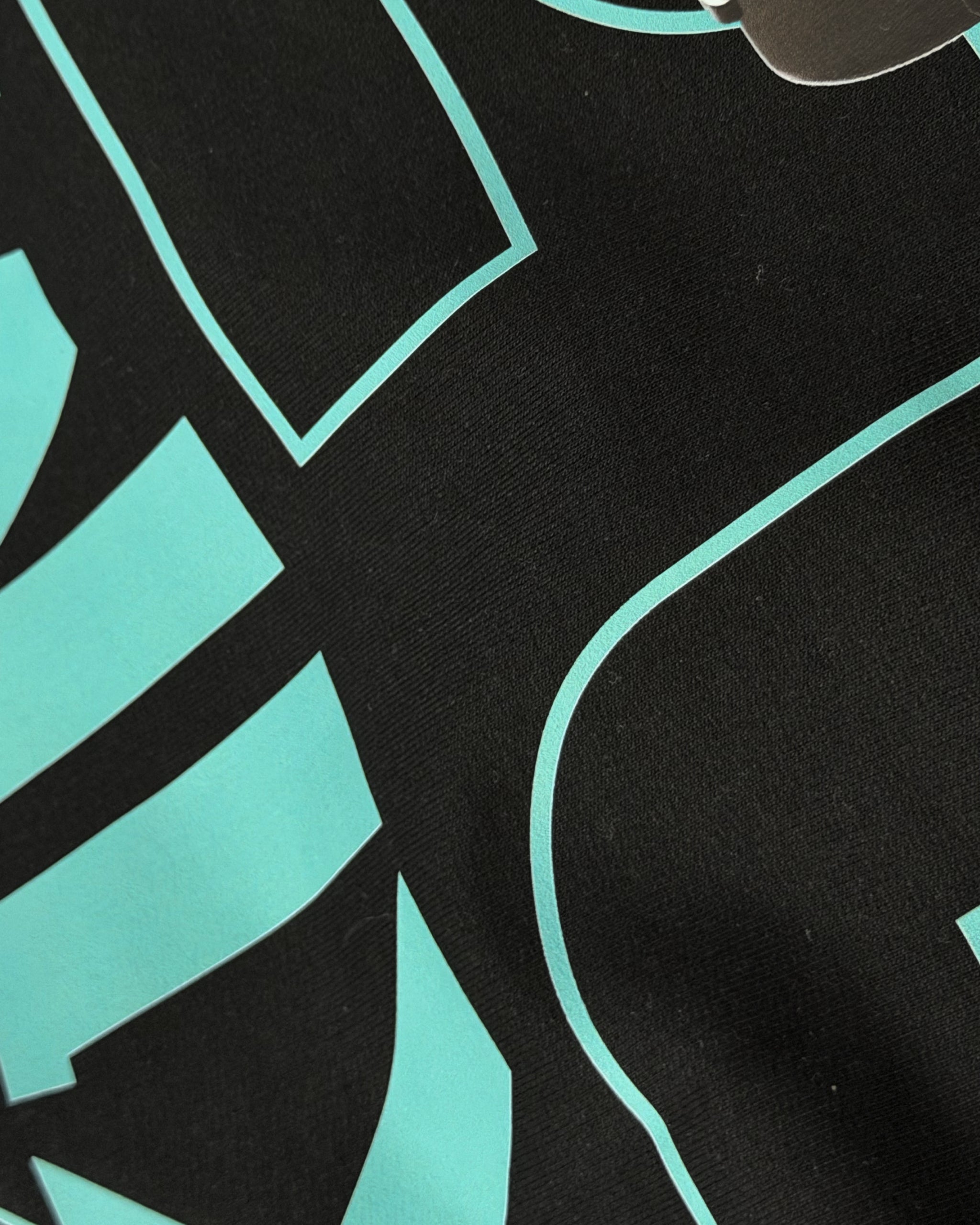Closeup of F1 Turn1 India Black unisex oversized tshirt featuring Kimi Antonelli, Mercedes AMG Petronas F1 Team driver, his Mercedes F1 car and number 12.
Front print featuring text "Silver Arrows"